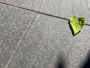 Terrassenplatte Basalt Takeda von oben mit Blatt-Deko