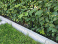 Rasenkanten Silver Granit Classico mit Rasen