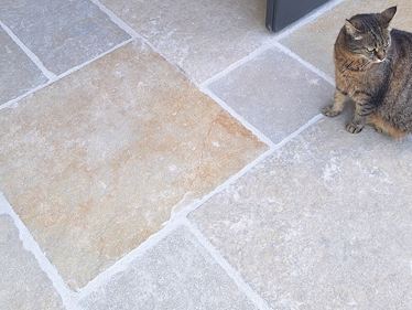 Kalkstein_Java_Sand_Katze_ Galerie 1