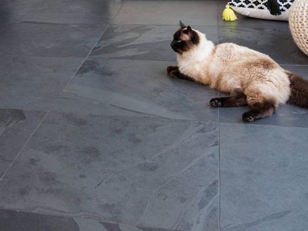 Katze liegt auf Natursteinfliesen Schiefer Mustang