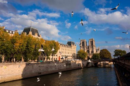 Notre Dame an einem sonnigen Tag mit einem Vogelschwarm im Vordergrund